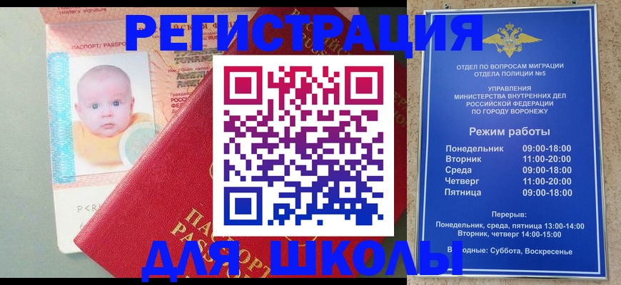 сопровождение оформления регистрации в Волгограде